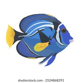 Ilustración vectorial de dibujos animados de Blue Tang Fish en blanco. Lindos animales tropicales.