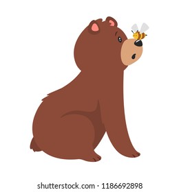 Cartoon vector illustration of brown grizzly bear, isolated on white background. Teddy sitting in amusement and watching a bee sitting on the nose.