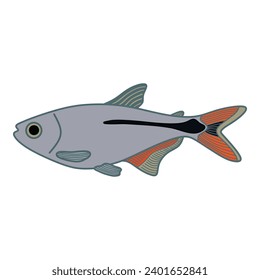 Cartoon Vector illustration buenos aires tetra fish icon Isolated on White Background