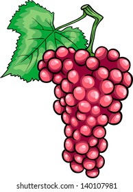 Cartoon Vector Illustration of Bunch of Red or Pink Grapes or Grapevine Fruit Food Object