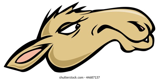 cartoon vector illustration camel face