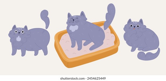 Cartoon Vektorillustration von Katze pinkeln in den Wurfkasten, Pflegekatze, lecken ihre Pfote