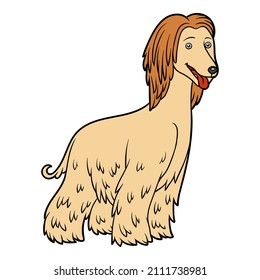 Cartoon vector illustration for children, Afghan hound