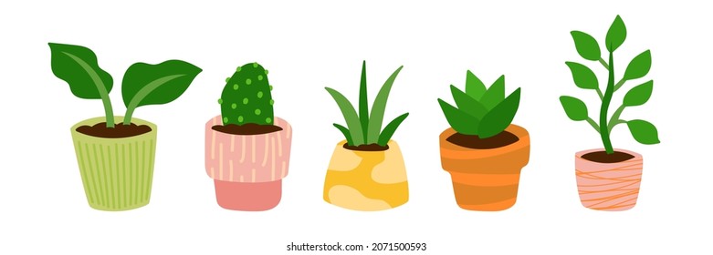 Cartoon vector illustration for children, Set of houseplants in a pots