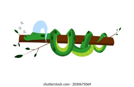 Cartoon vector illustration for children, snake queen, crown and mantle. isolated on a white background