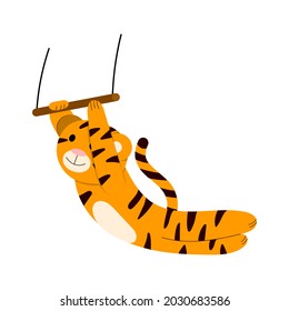 Cartoon vector illustration for children, tiger aerial acrobat in the circus. isolated on a white background.