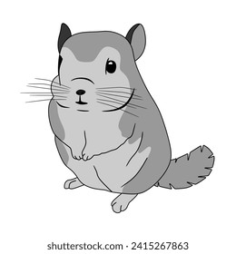 Ilustración vectorial de dibujos animados de chinchilla sobre fondo blanco