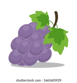 Cartoon vector illustration of a cluster of red grapes isolated on a white background
