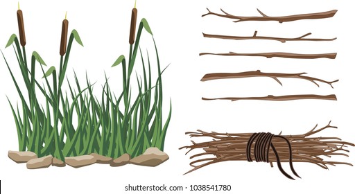 Cartoon Pond Reeds Images Stock Photos And Vectors Shutterstock