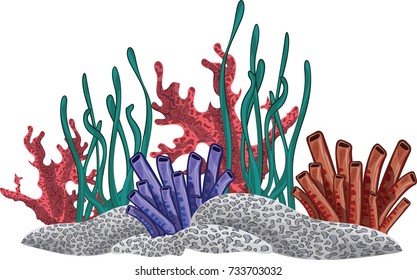 A cartoon vector illustration of corals set isolated on white background 
