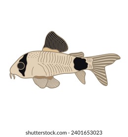 Cartoon Vector illustration corydoras panda fish icon Isolated on White Background