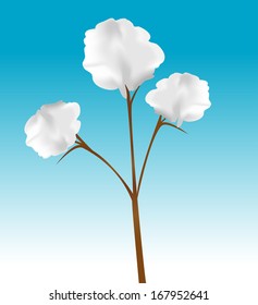 Cartoon Vector Illustration Cotton Plant Stock Vector (Royalty Free ...