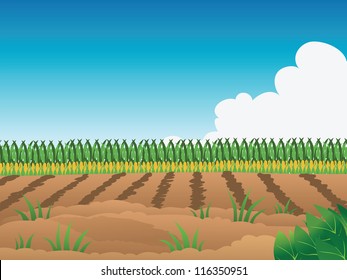 Cartoon Vector Illustration Of A Crop Field