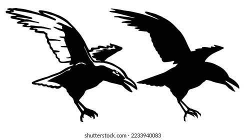 cartoon vector illustration of crow landing with open wings 