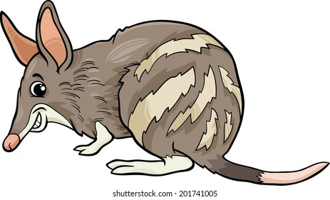 Cartoon Vector Illustration of Cute Bandicoot Marsupial Animal