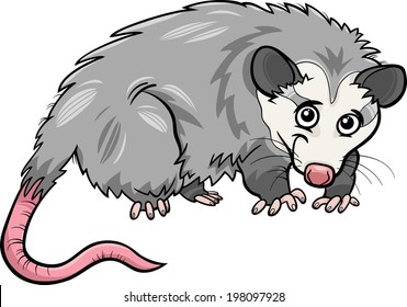 Cartoon Vector Illustration of Cute Opossum Animal