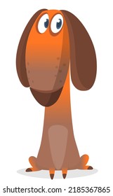 Cartoon Vector Illustration of Cute Purebred Dachshund Dog. Isolated on white background