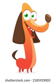 Cartoon Vector Illustration of Cute Purebred Dachshund. Dog running for his tail image
