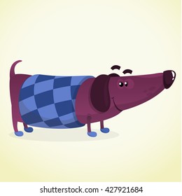 Cartoon Vector Illustration of Cute Purebred Dachshund Dog in sweater. Isolated on white background