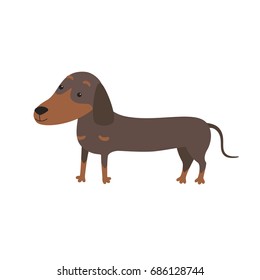 Cartoon Vector Illustration of Cute Purebred Dachshund Dog.