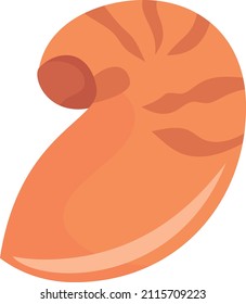Dibujo vectorial de una linda concha.