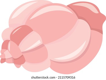 Dibujo vectorial de una linda concha.