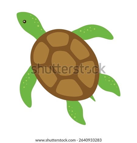 cartoon vector illustration of cute turtle isolated on white background, sea animal in flat style