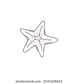 A cartoon vector illustration depicting a starfish from tropical waters. The contoured style and whimsical shape reflect ocean life for decorating a beach