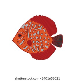Cartoon Vector illustration discus fish icon Isolated on White Background