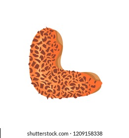 Cartoon vector illustration Donut Letters L. Hand drawn font with sweet bun. Actual Creative art bake alphabet 