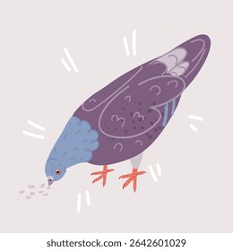 Ilustração vetorial de pomba. Pombos azulados andando, comendo.