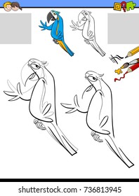 Cartoon Vector Illustration of Drawing and Coloring Educational Activity for Children with Macaw Parrot Bird Animal Character