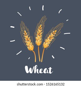 Cartoon vector illustration of ear of wheat on dark background.