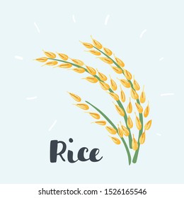 Cartoon vector illustration of ears of rice. Hand drawn object on white.