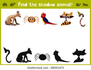 Cartoon Vector Illustration of Education Shadow Matching Game for Preschool Children find the five colorful shade for animals. All pictures are isolated on white background. Vector illustration