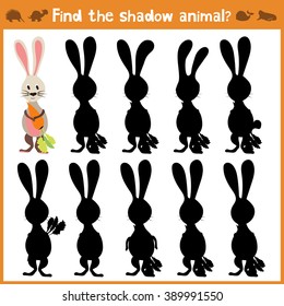 Cartoon vector illustration of education will find appropriate shadow silhouette animal rabbit. Matching game for children of preschool age. Vector 
