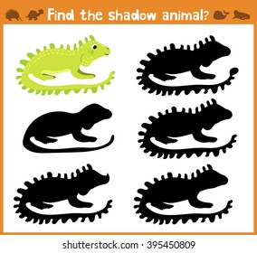 Cartoon vector illustration of education will find appropriate shadow silhouette animal iguana. Matching game for children of preschool age. Vector illustration