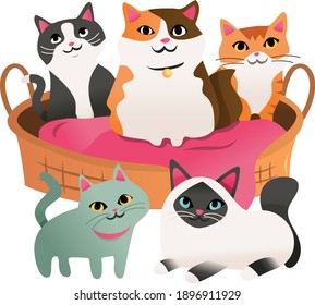 A cartoon vector illustration of five cute cats around a pet bed.