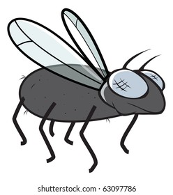cartoon vector illustration of a fly