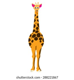A cartoon vector illustration of a front facing tall giraffe.