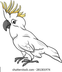 Cartoon Vector Illustration of Funny Cockatoo Parrot Bird