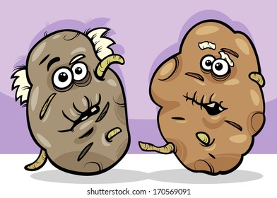 Cartoon Vector Illustration of Funny Comic Old or Senior Potatoes Vegetable Food Characters