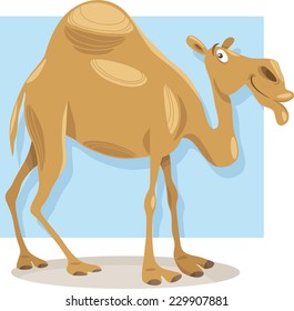 Cartoon Vector Illustration of Funny Dromedary Camel Animal