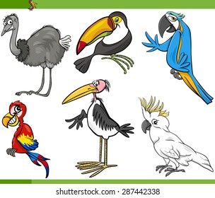 Cartoon Vector Illustration of Funny Exotic Birds Set