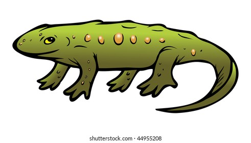 cartoon vector illustration gecko