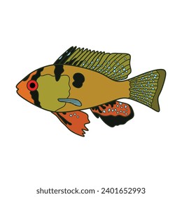 Cartoon Vector illustration german blue ram fish icon Isolated on White Background