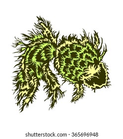 A cartoon vector illustration grass fish