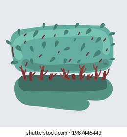 Cartoon vector illustration of green bush on white isolated background