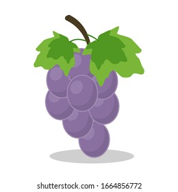 Cartoon vector illustration of a group of isolated grapes on a white background