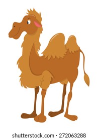 A cartoon vector illustration of a happy smiling camel in side view standing pose. 